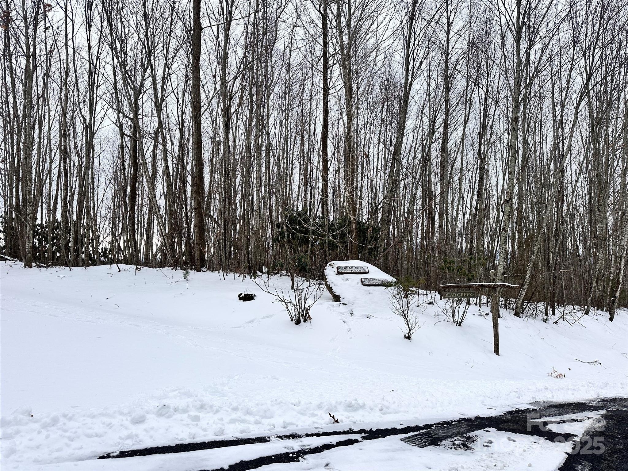 0000 Lot 78 Black Bear Crossing