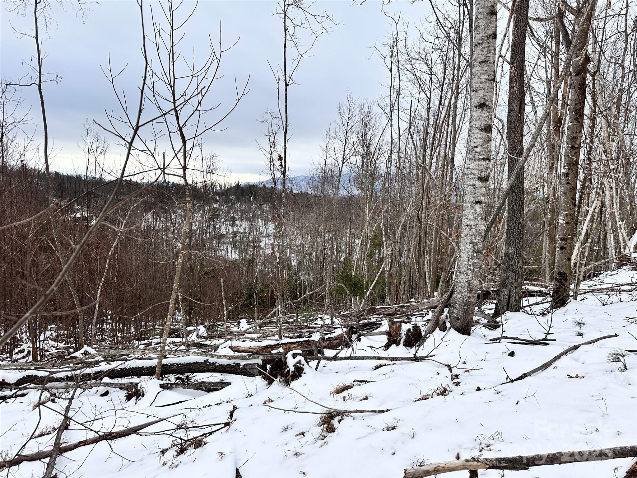 0000 Lot 78 Black Bear Crossing