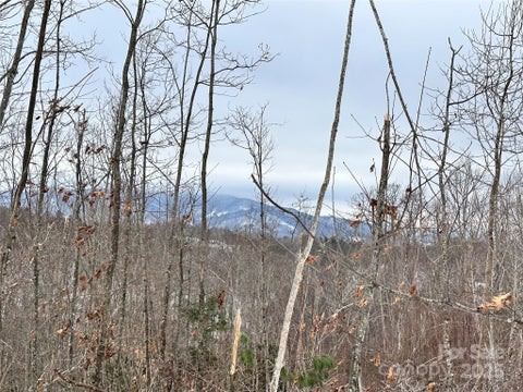Photo for 0000 Lot 78 Black Bear Crossing