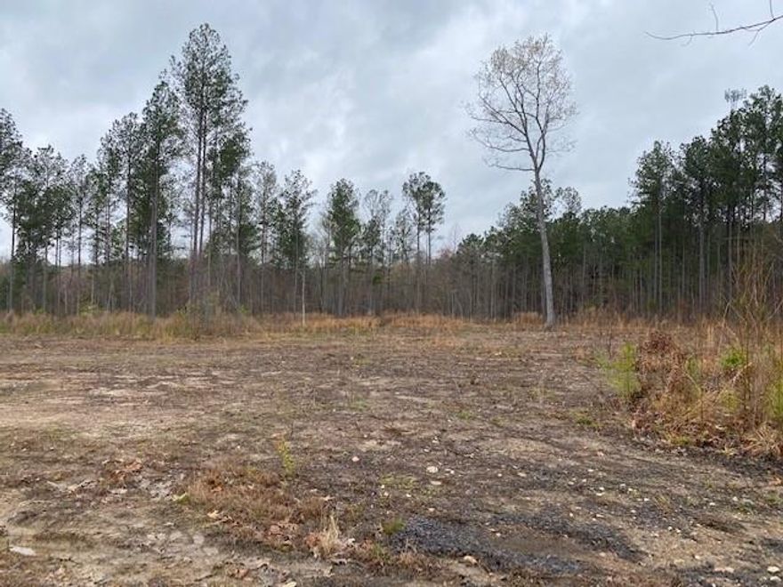 Beautiful 2-acre tract of land on Mosley rd, ready to build your dream home on. The sellers have a DHEC perc test for a 5-bedroom home (see associated docs). 120' of road frontage. Hurry this one wont last long!