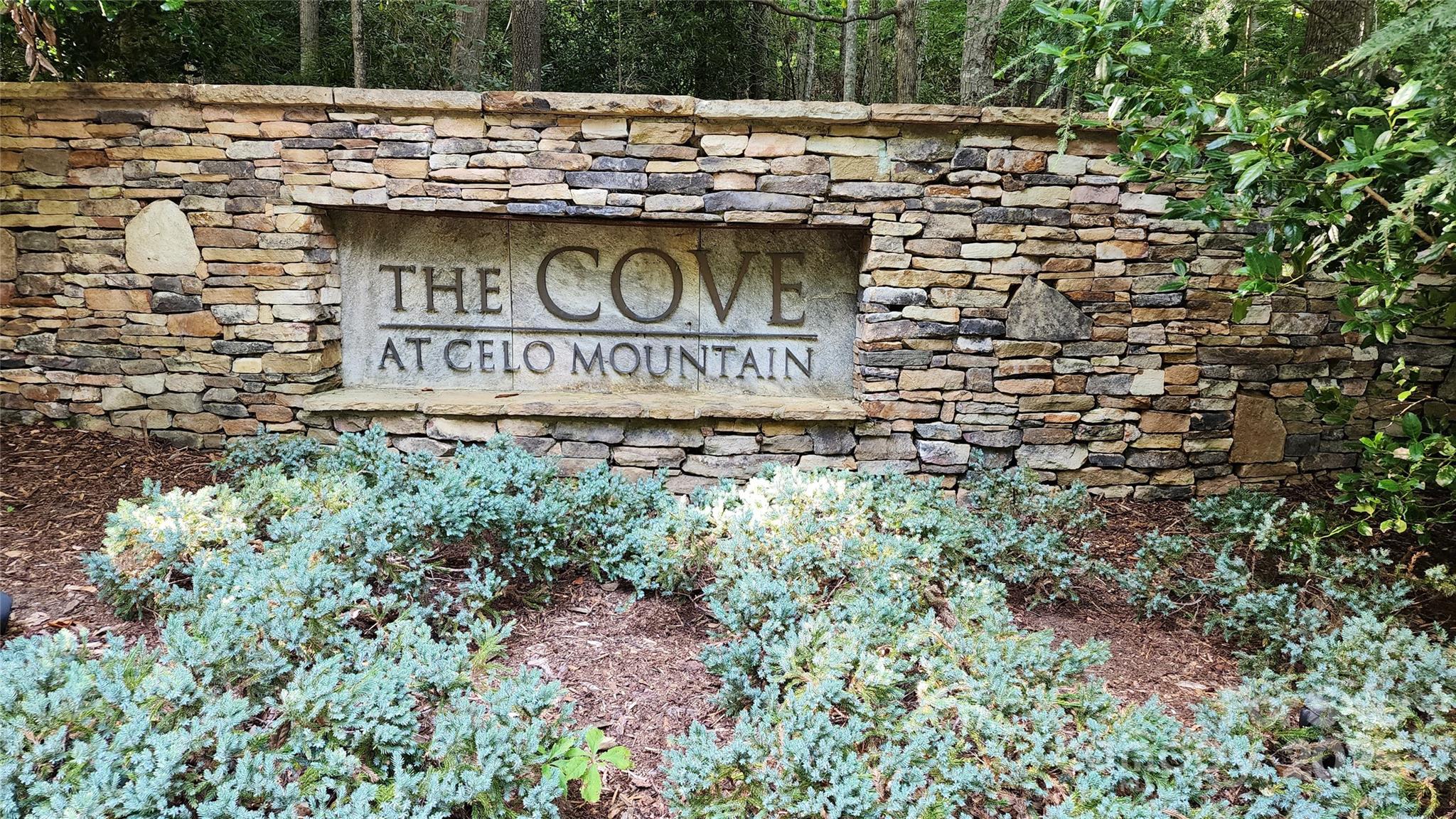 The Cove at Celo Mountain - Land