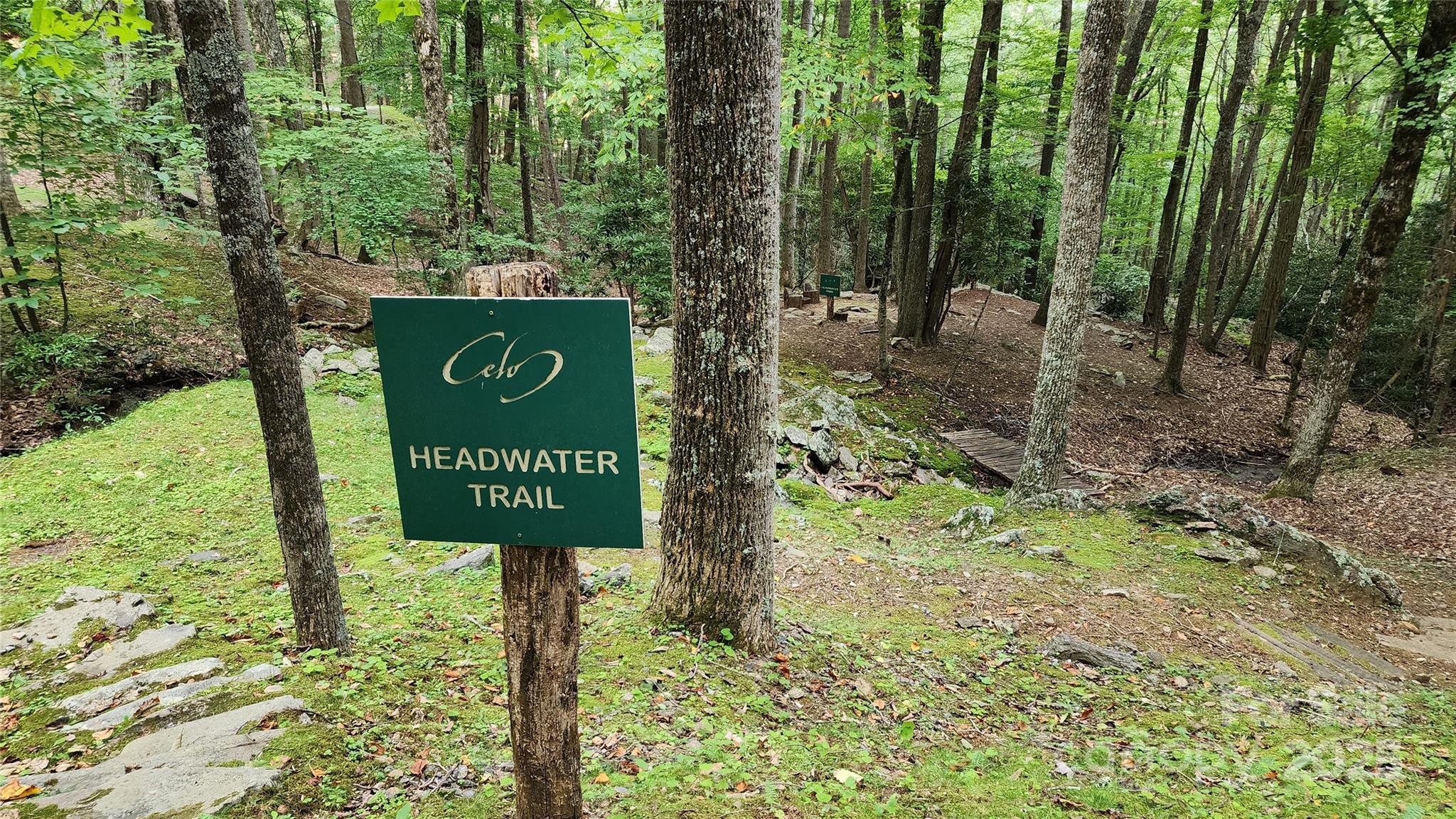 The Cove at Celo Mountain - Land