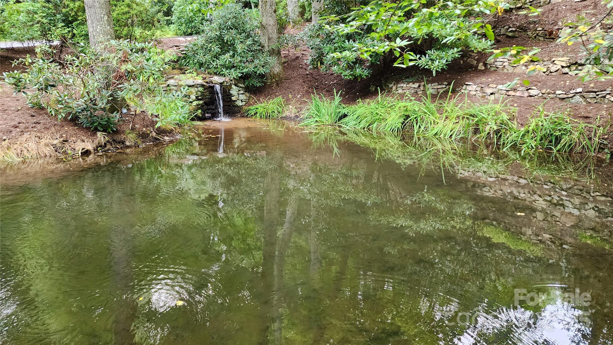 The Cove at Celo Mountain - Land