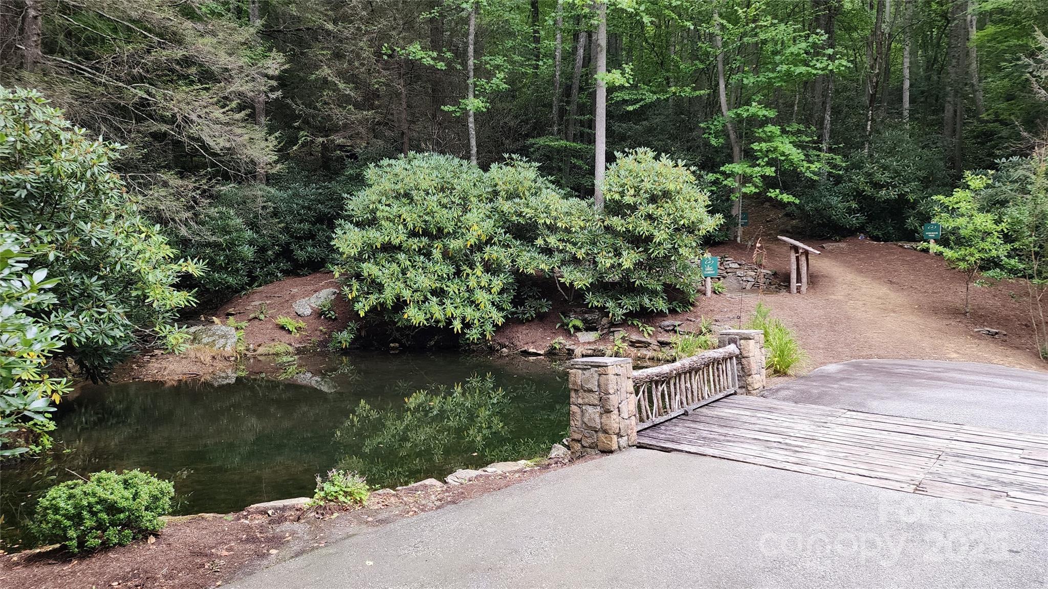 The Cove at Celo Mountain - Land