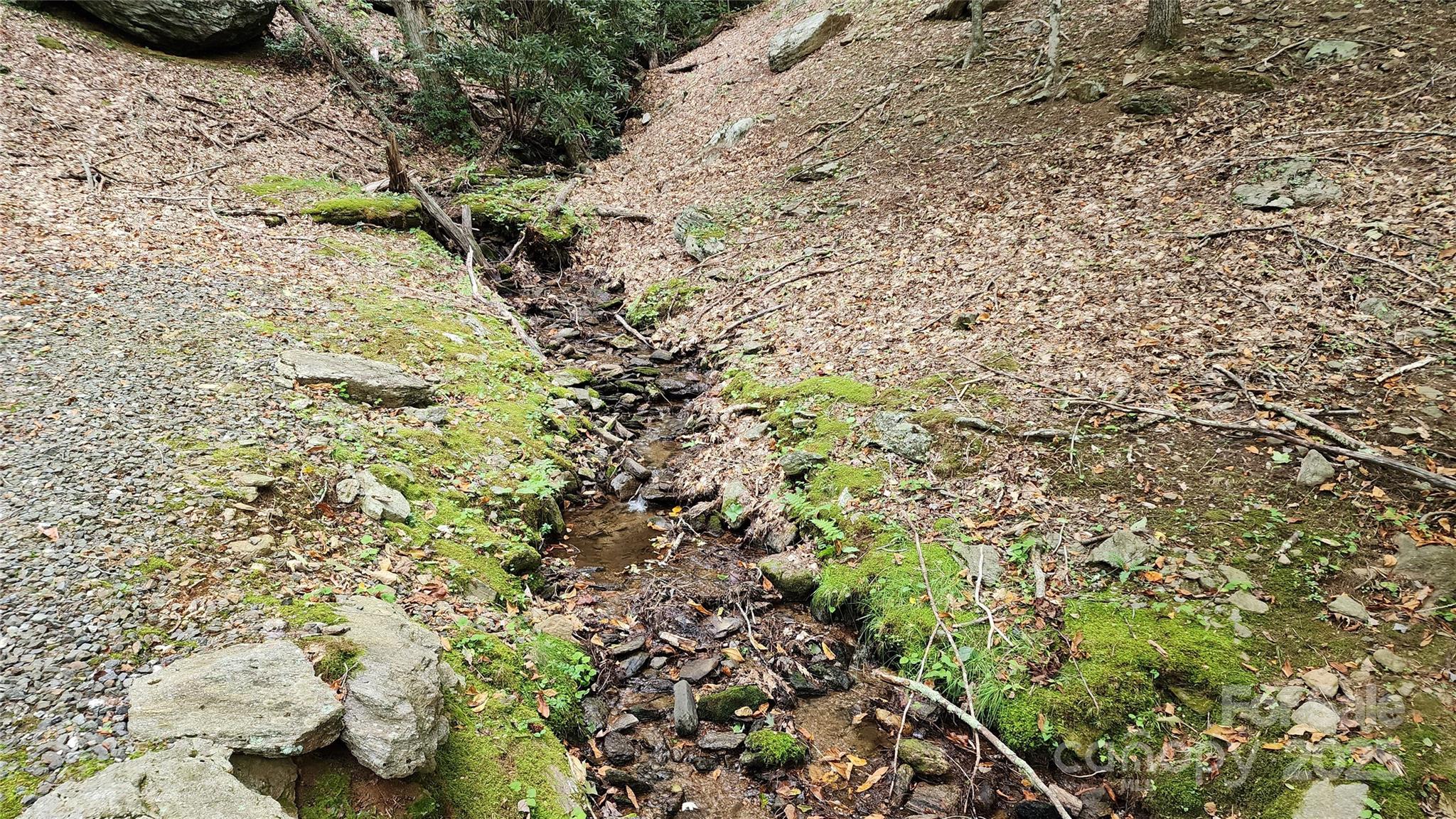 The Cove at Celo Mountain - Land