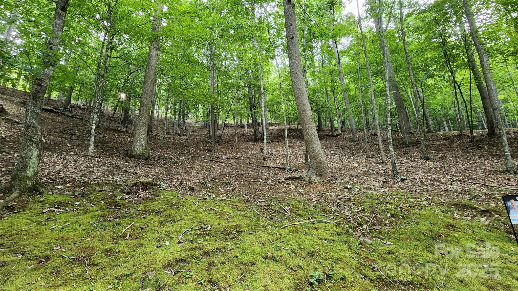 12 Hickory Springs Road 12