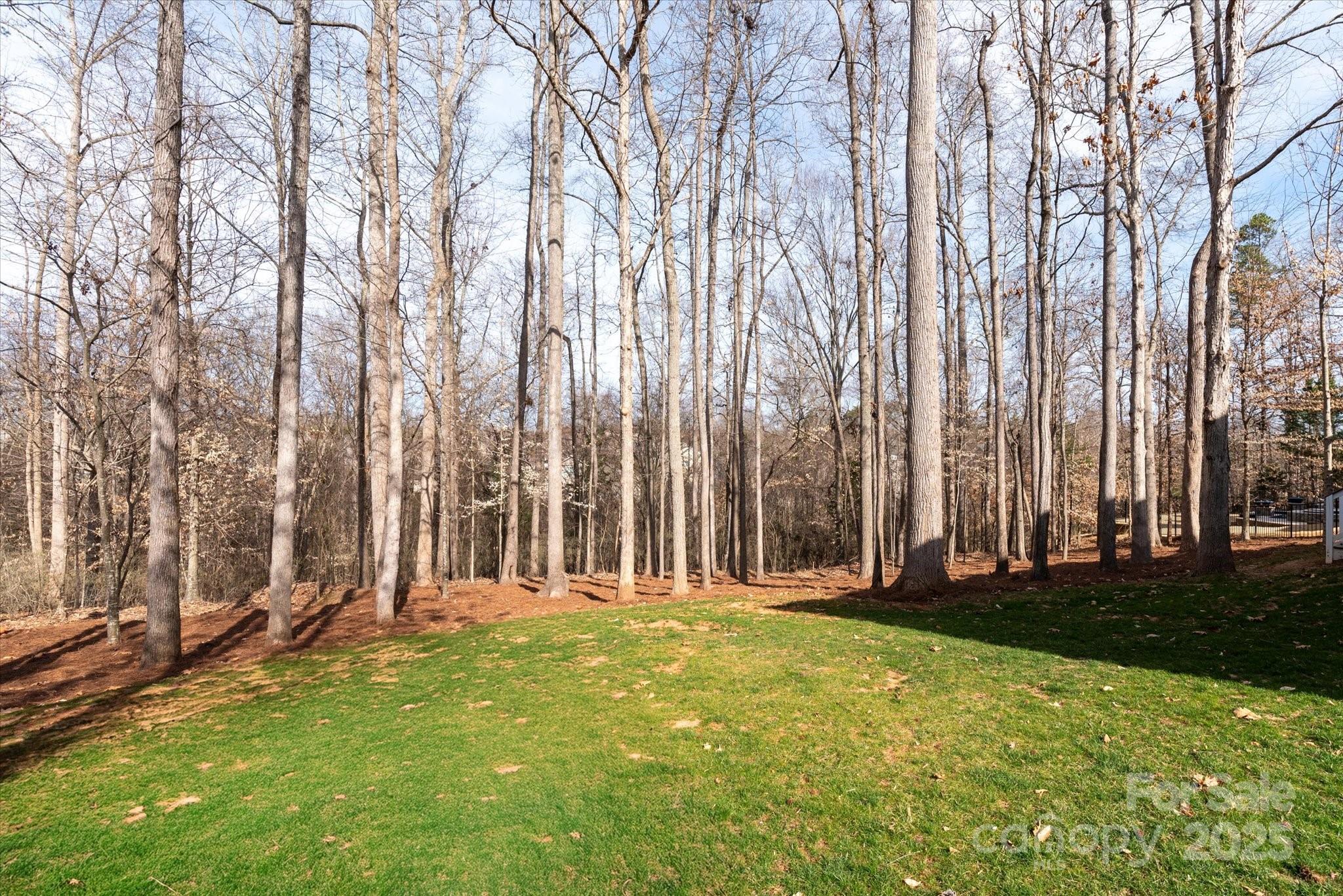 Springfield - Residential