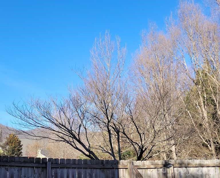 Cotton Creek - Residential