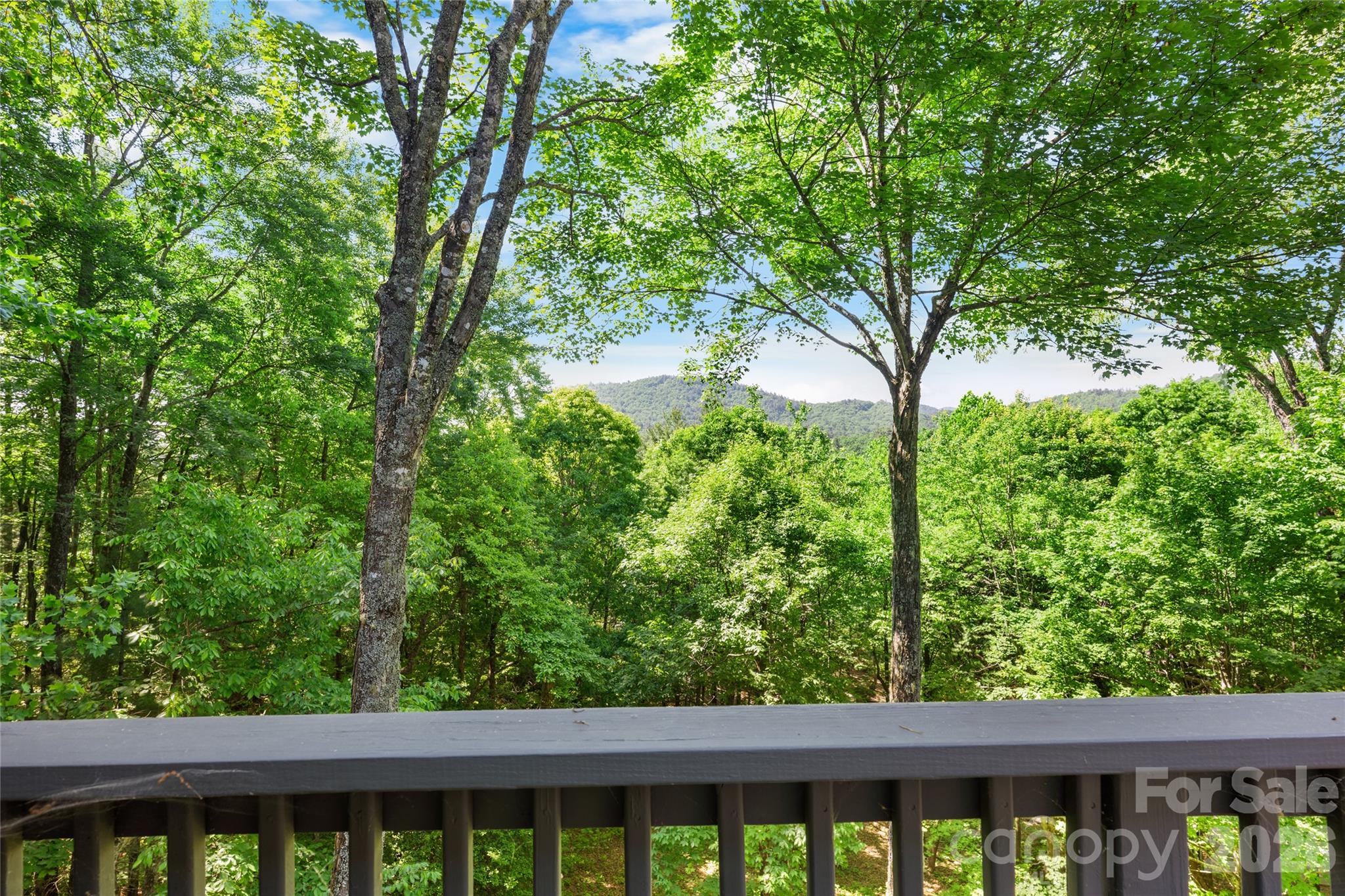 Lake Toxaway Estates - Residential
