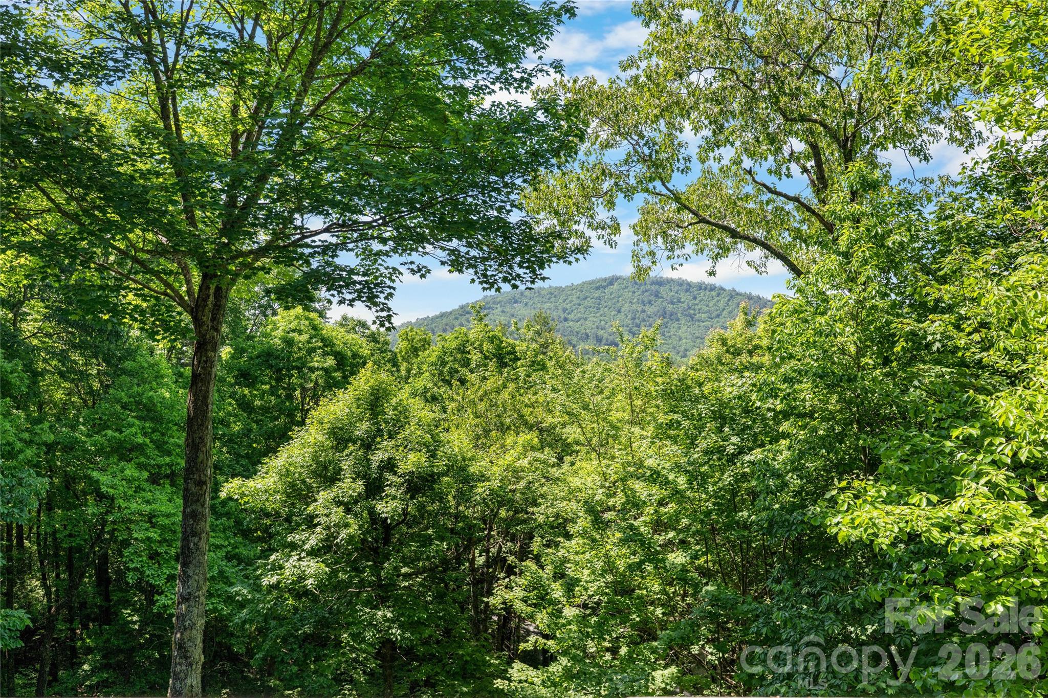 Lake Toxaway Estates - Residential