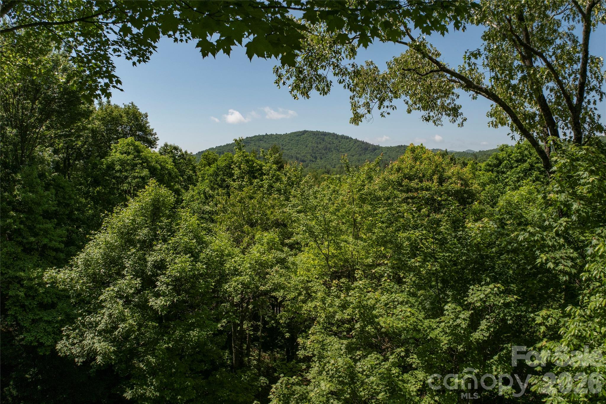 Lake Toxaway Estates - Residential