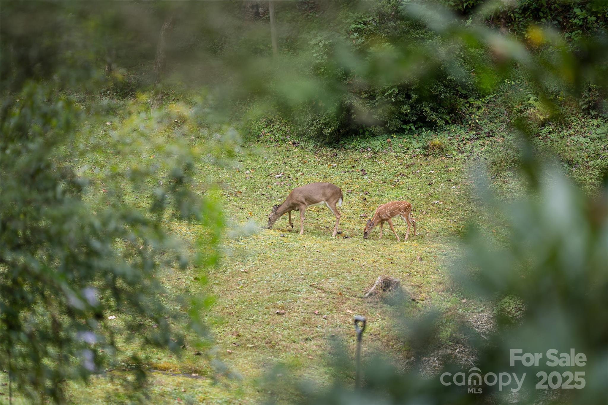 Knob Hill - Residential