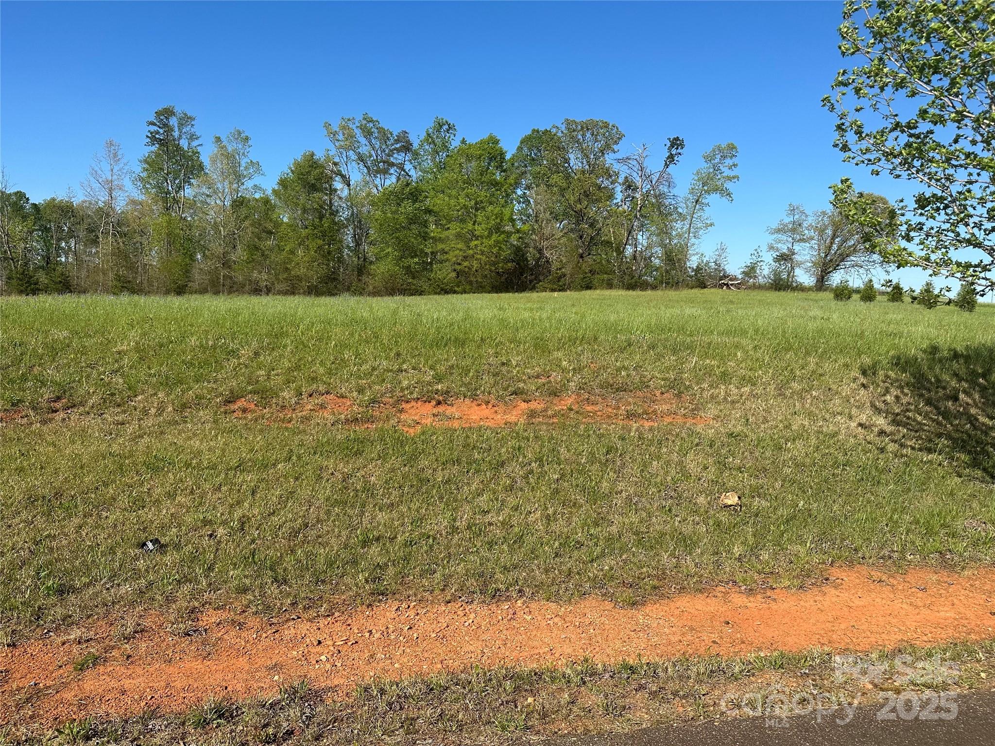 Vintage Woods - Land