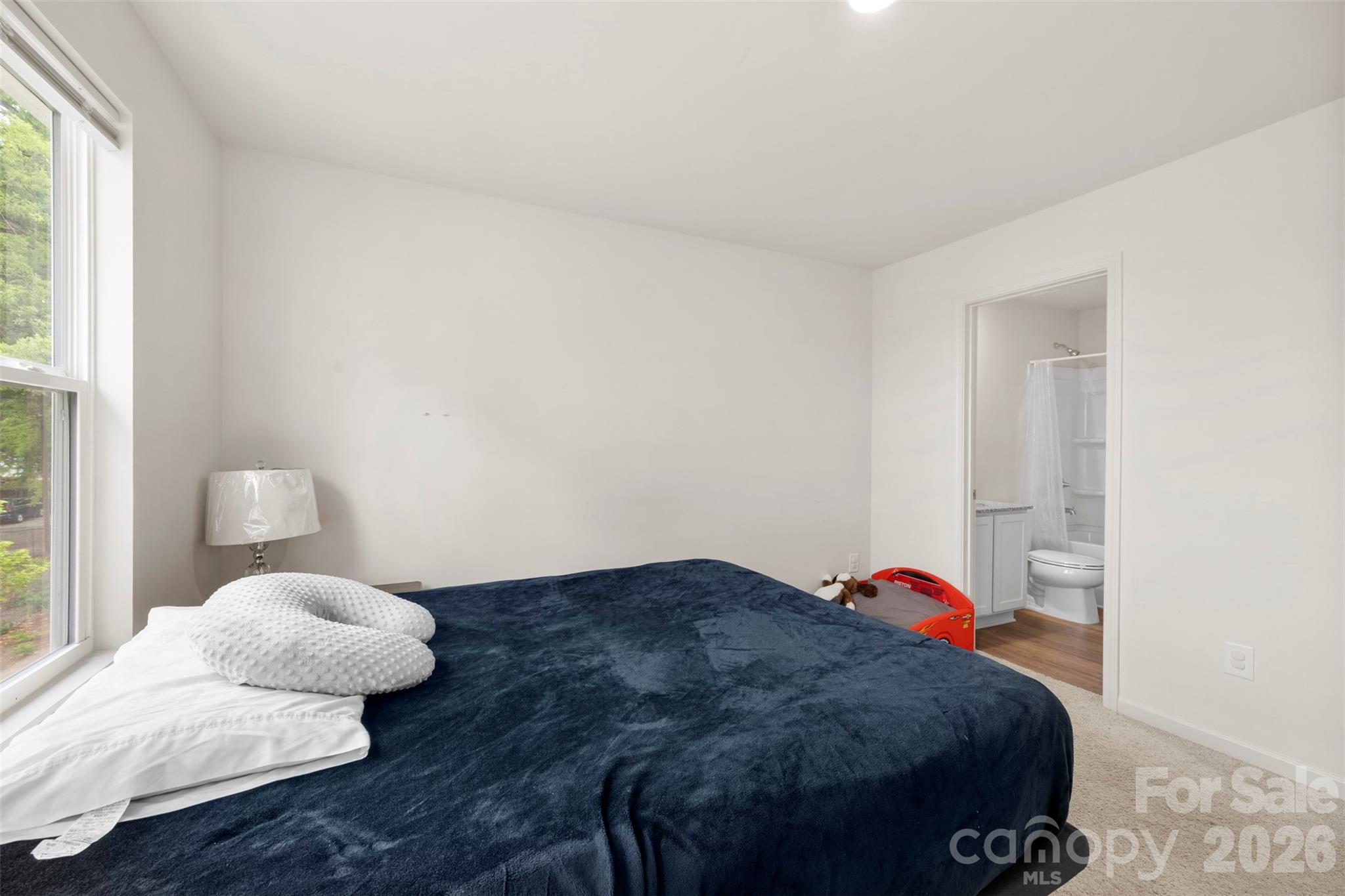 LITHIA TOWNHOMES - Residential