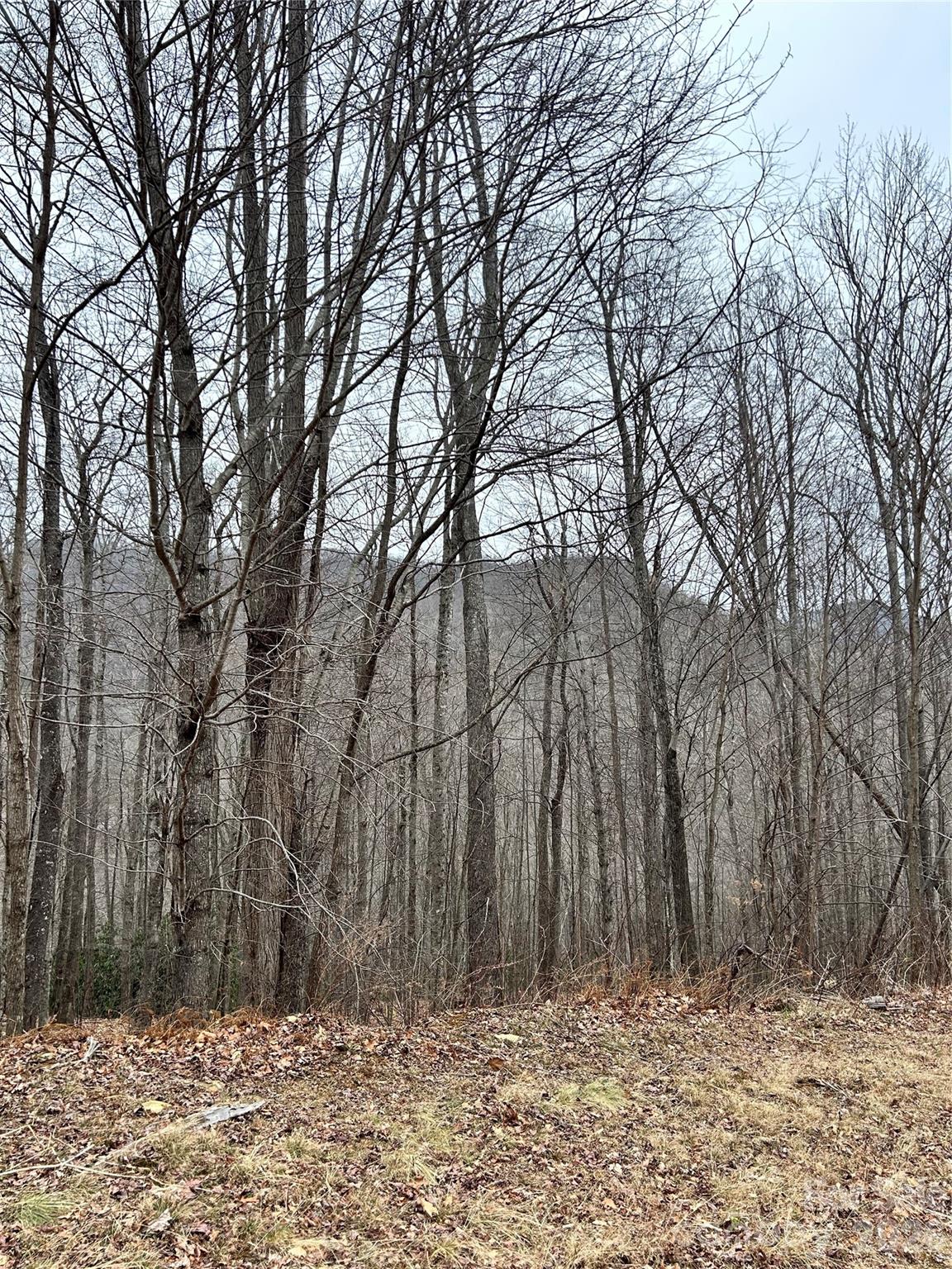 104 &105 Tenderfoot Trail