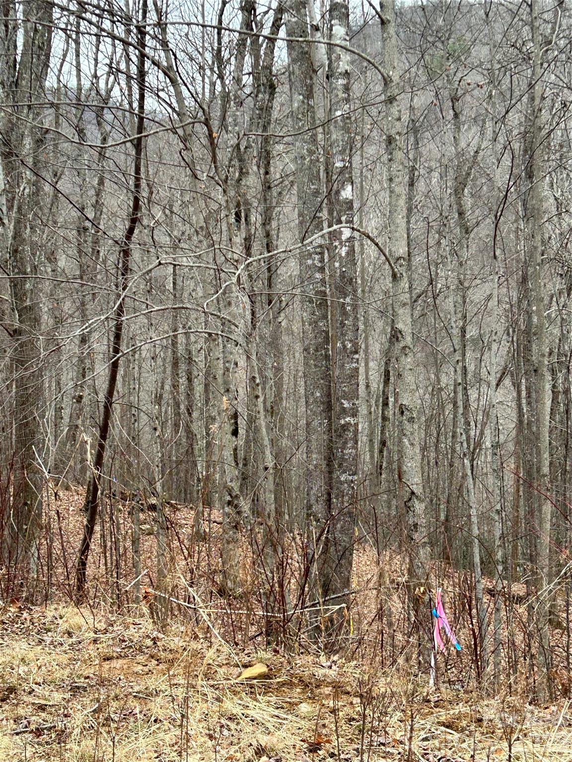 104 &105 Tenderfoot Trail