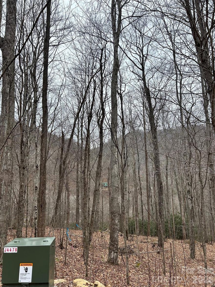 Ready for great views and a straight forward build? This beautiful piece of land checks off a lot of boxes. There is plenty of room for a nice driveway and plenty of usable space (possibly 2 homes). A bit of tree trimming to open the view and give you stunning mountain landscapes. There are two lots included in this price and with minimal restrictions you can truly make this your Maggie Valley paradise! This land would be great for a secluded short term rental or your forever home. Do not miss out on this great land opportunity and book your appointment today.