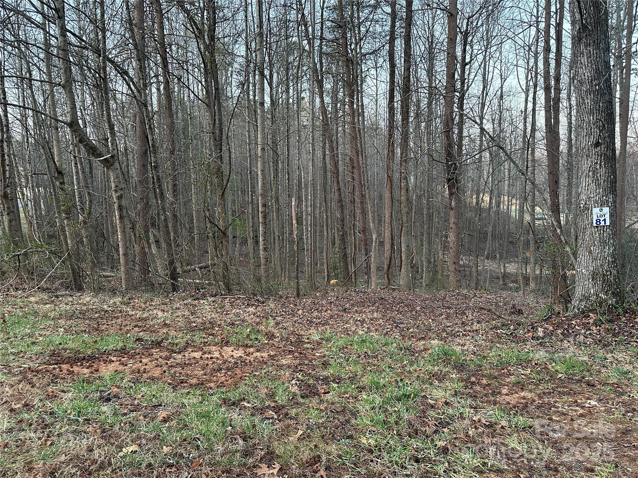 Buffalo Shoals Natl Golf Club - Land