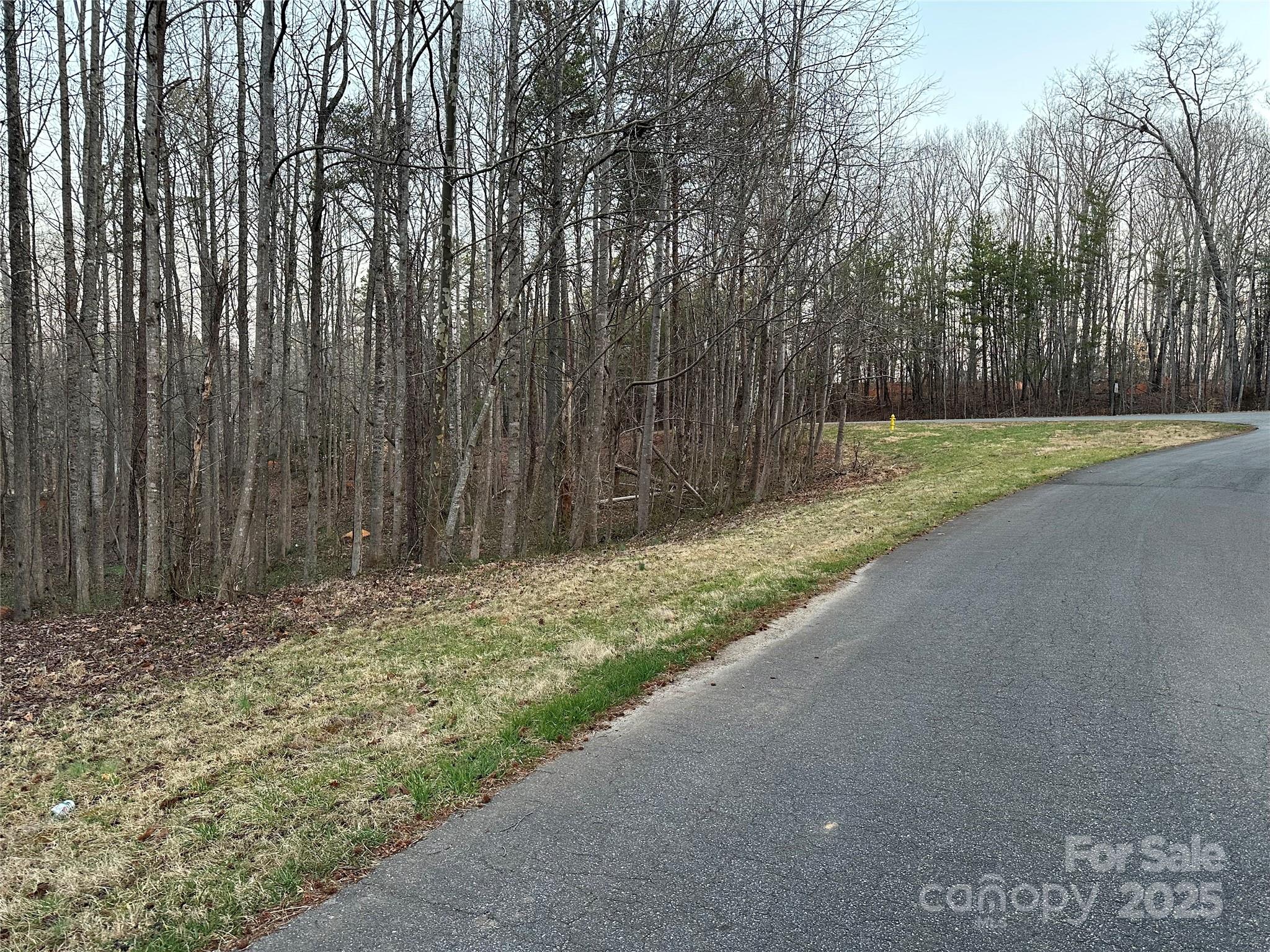 Buffalo Shoals Natl Golf Club - Land