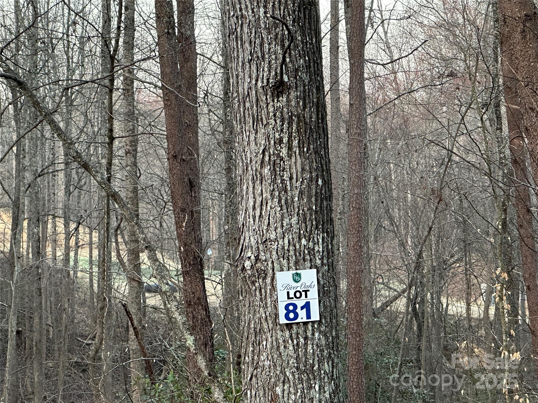 Buffalo Shoals Natl Golf Club - Land