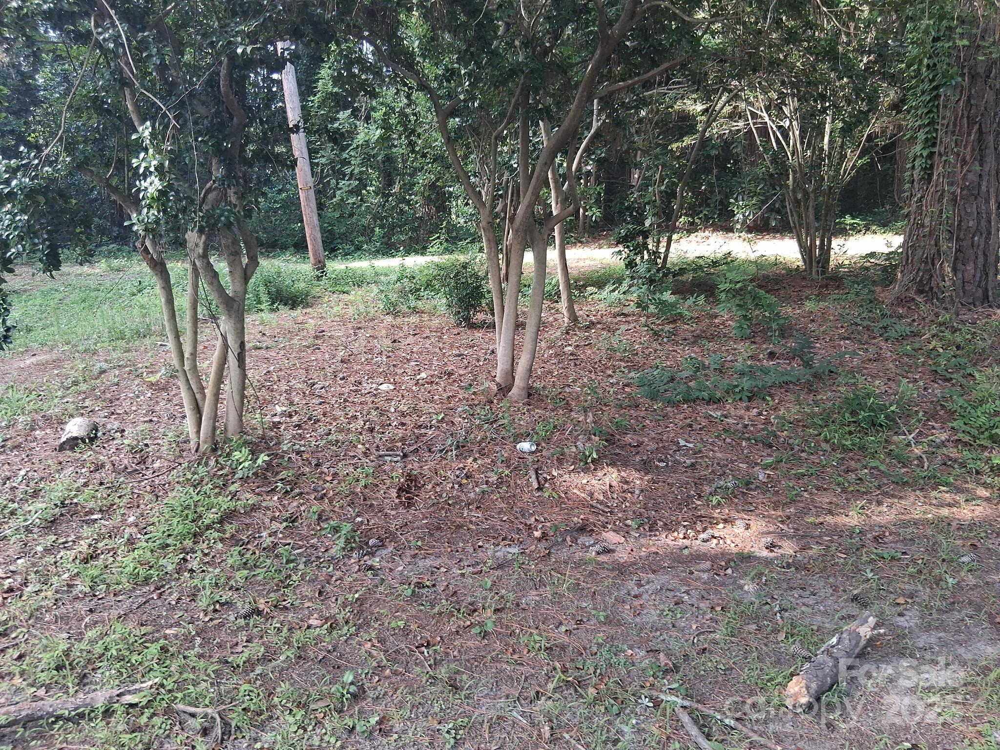 713 Trinity Drive W 63&66