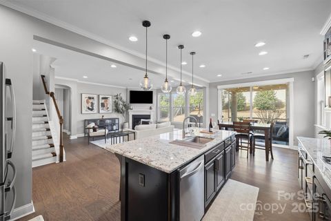 Photo of 18304 Studman Branch Avenue, Charlotte, NC 28278 (MLS # 4330826)