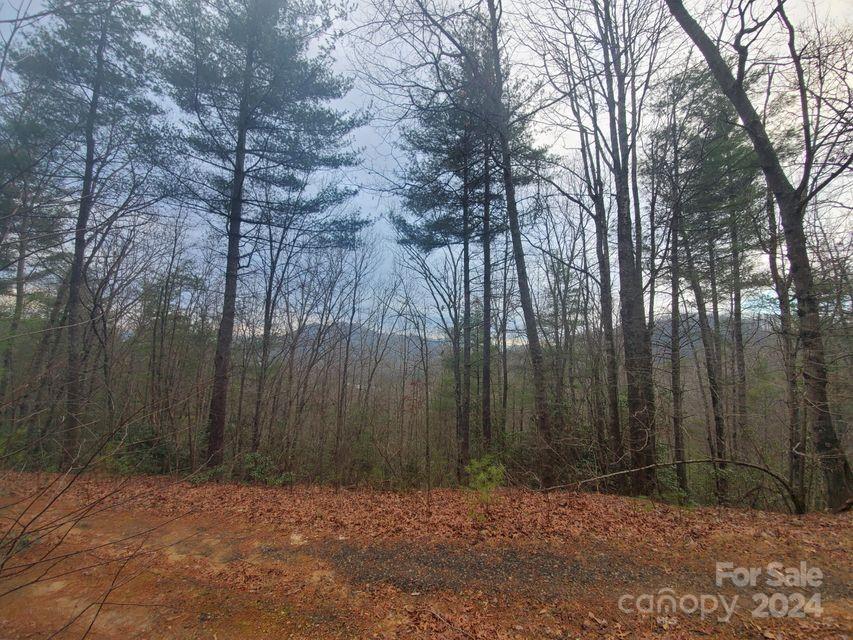 Lewis Jarrett - Land