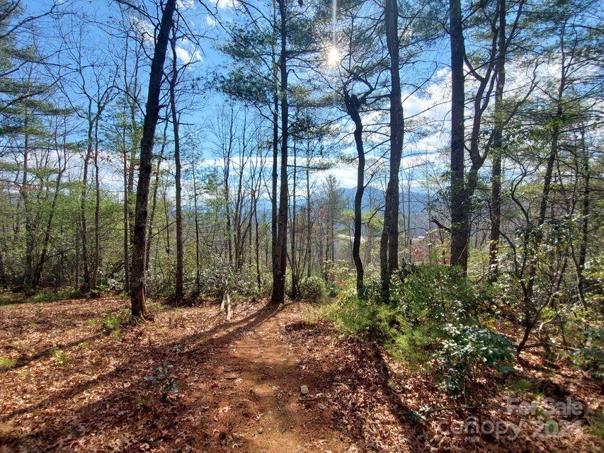 Lewis Jarrett - Land