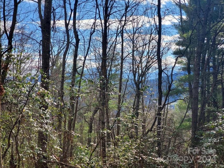 Lewis Jarrett - Land