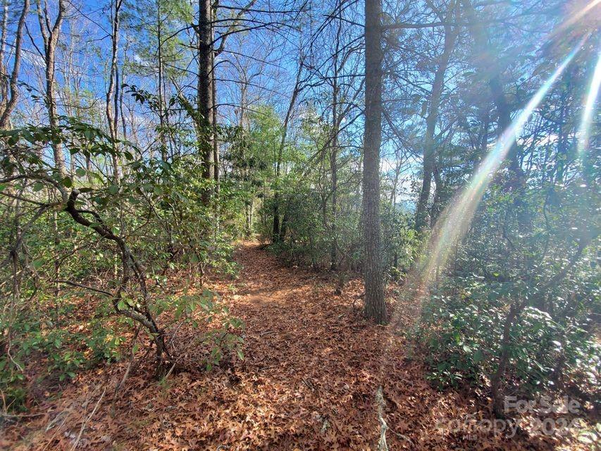 Lewis Jarrett - Land