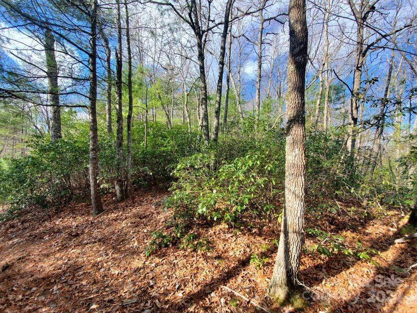 Lewis Jarrett - Land