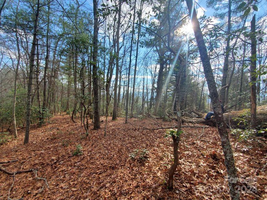 Lewis Jarrett - Land