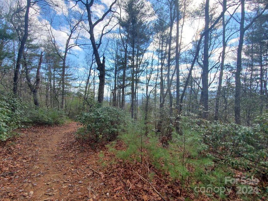 Lewis Jarrett - Land