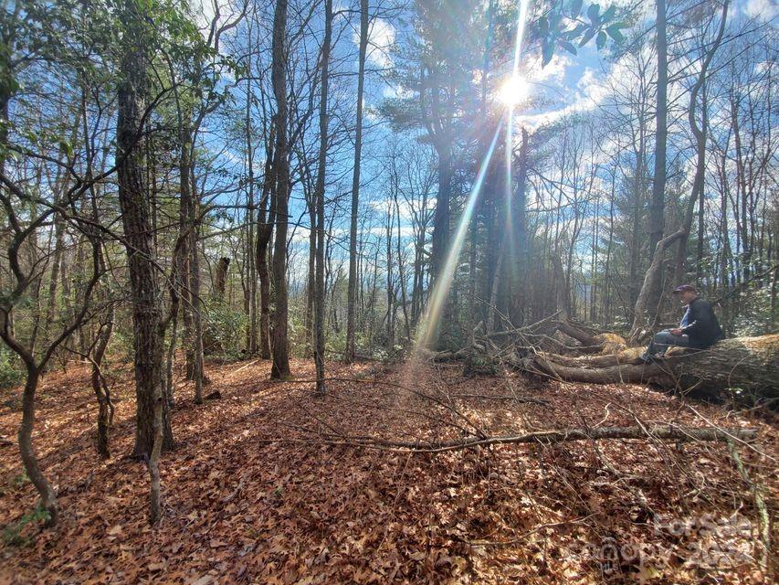 Lewis Jarrett - Land