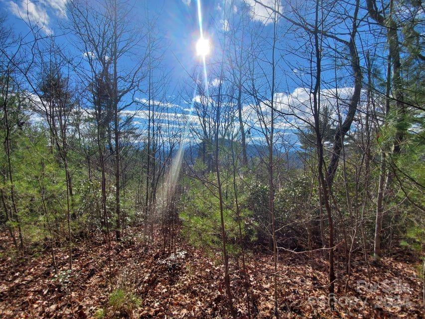 Lewis Jarrett - Land