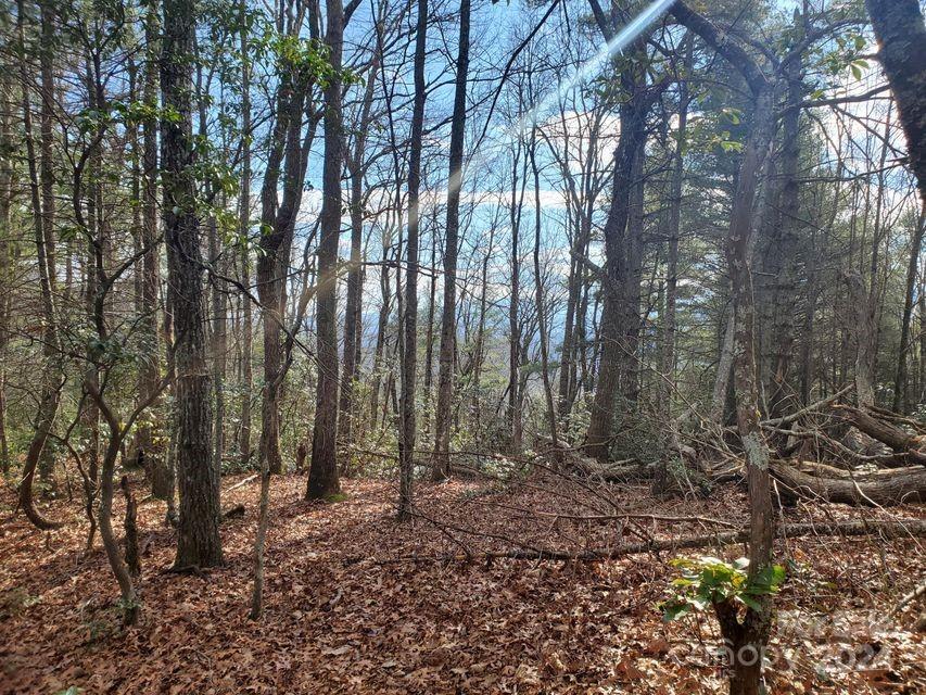 Lewis Jarrett - Land