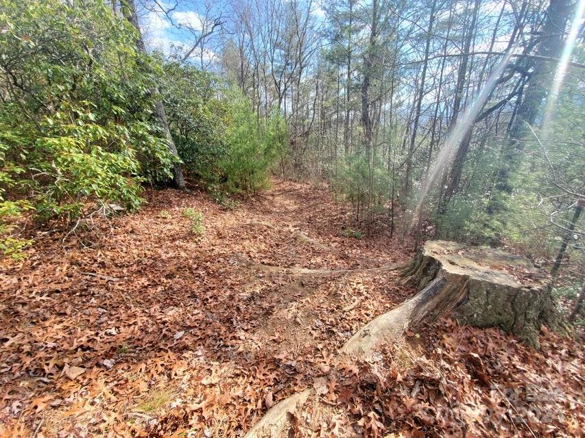 Lewis Jarrett - Land