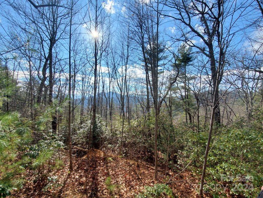 Lewis Jarrett - Land