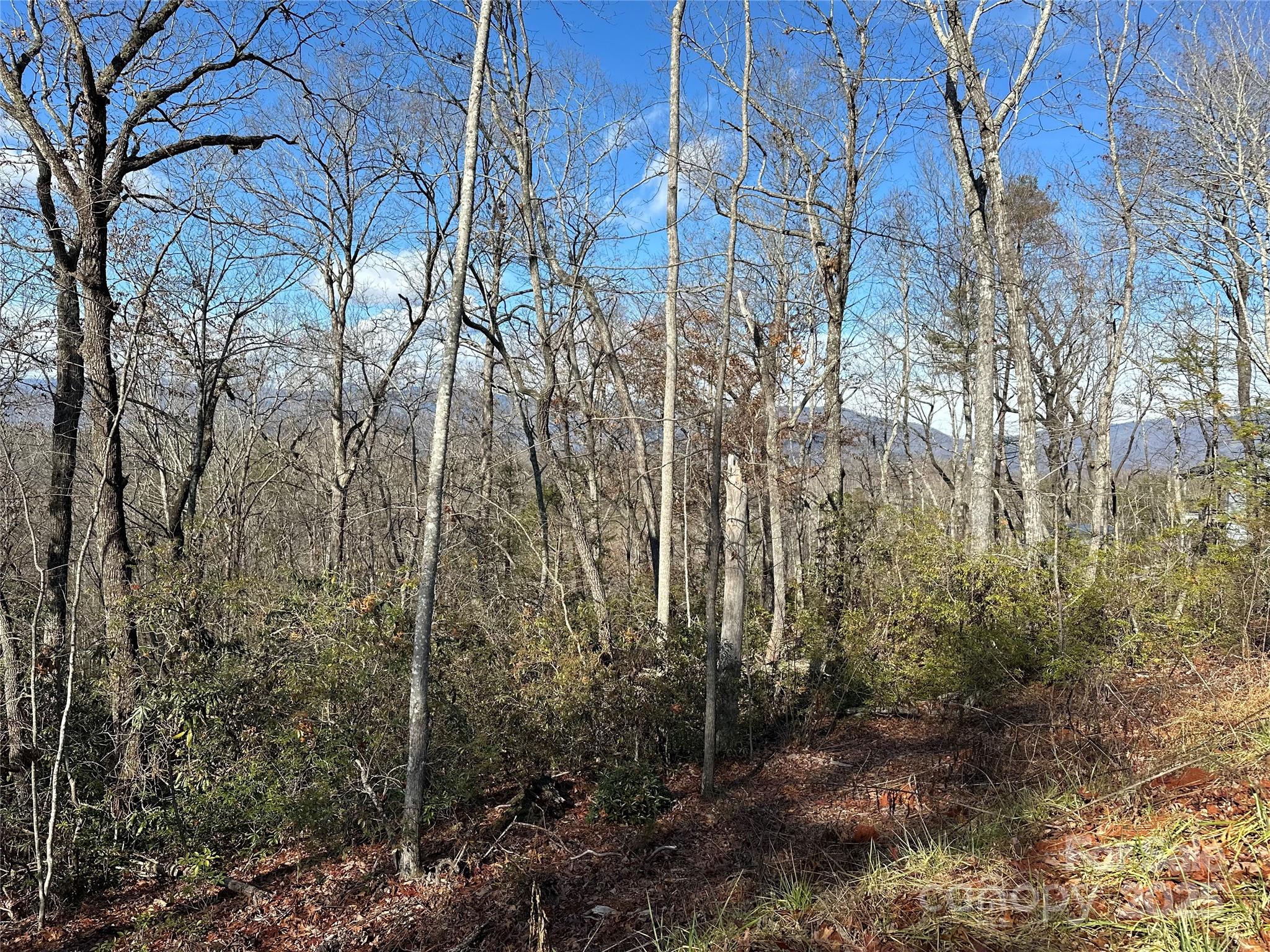 86 Warren Ridge Drive 4