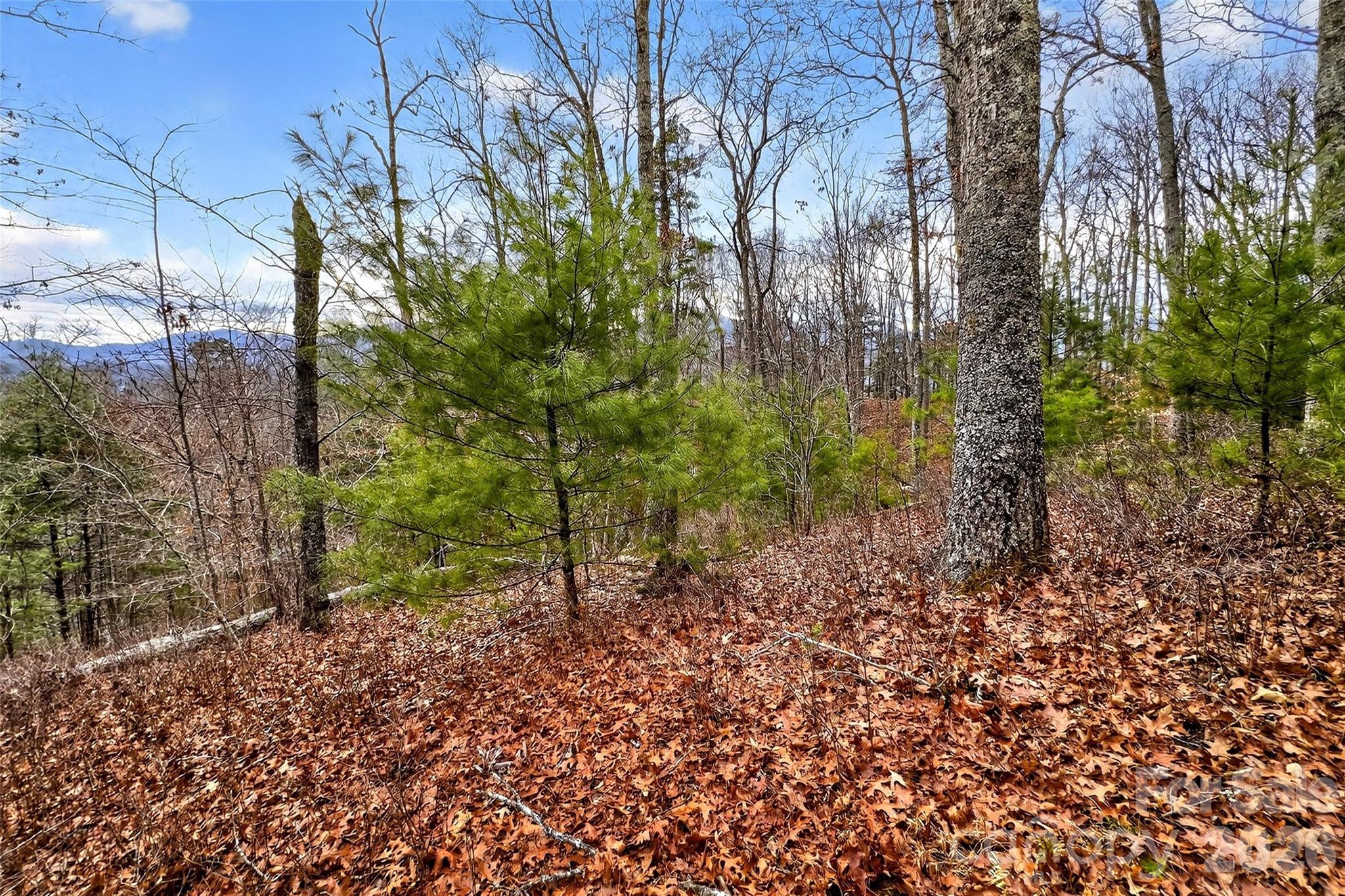 149 Turkey Trot Trail 17