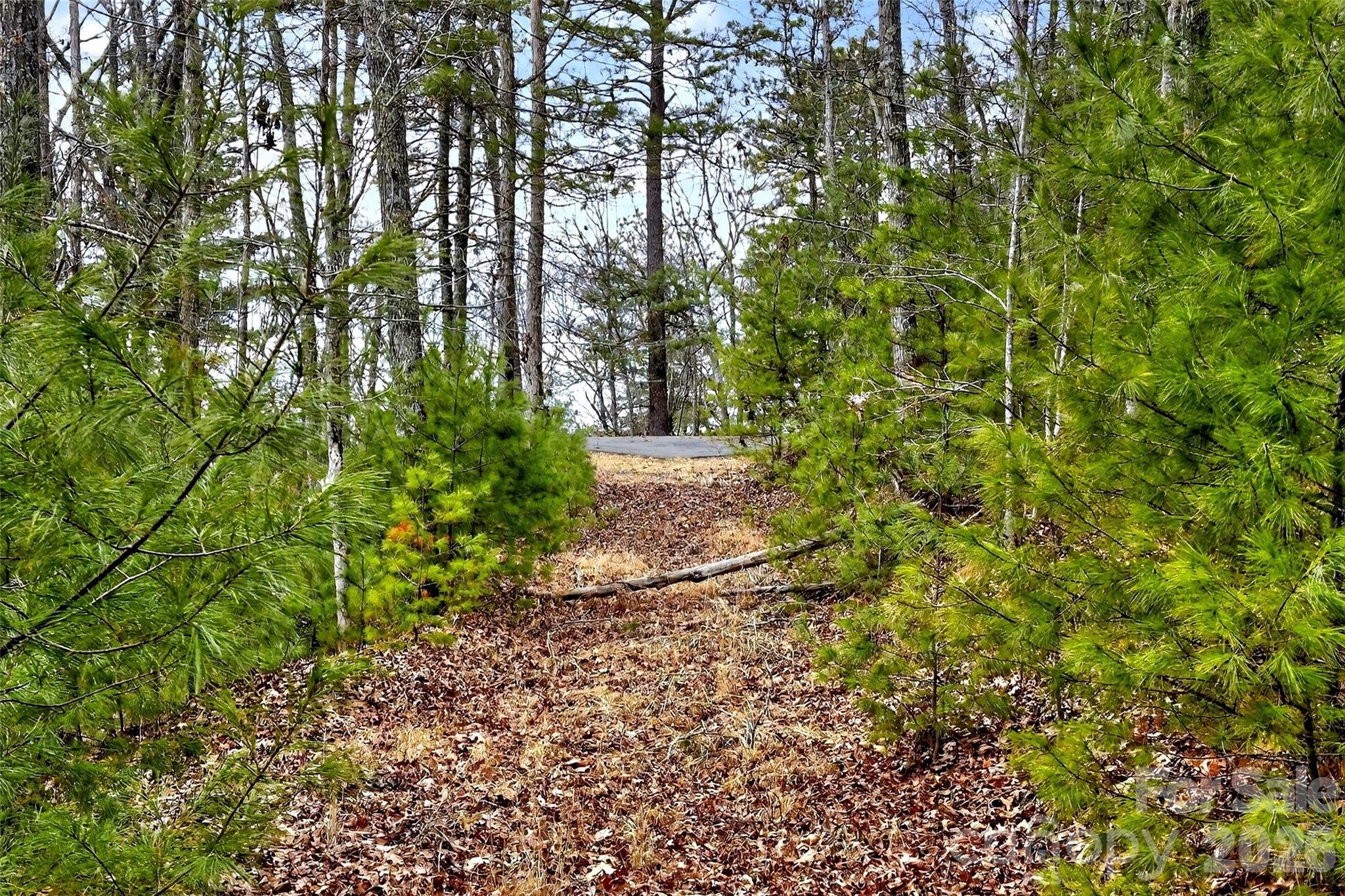 149 Turkey Trot Trail 17