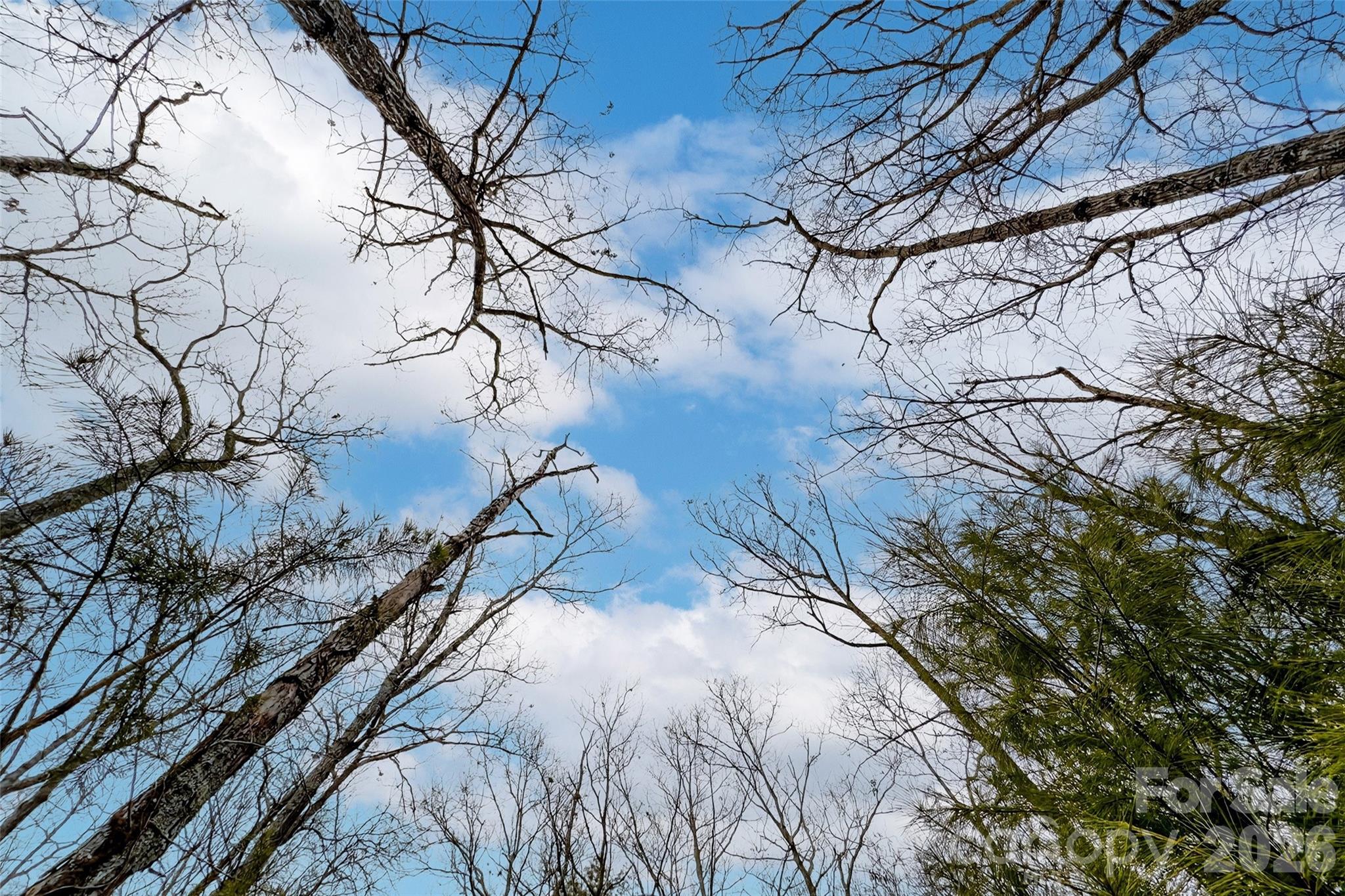 French Broad Crossing - Land