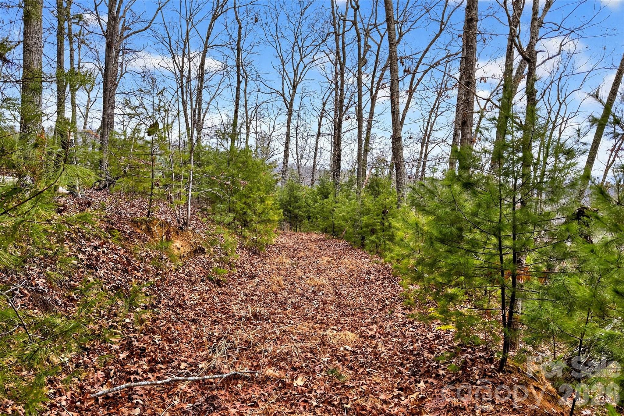 149 Turkey Trot Trail 17