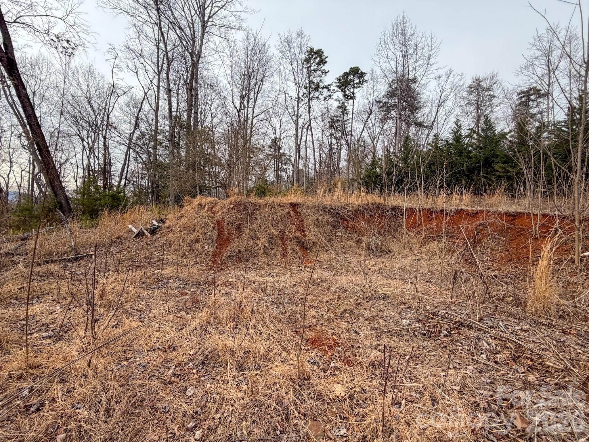 Riverbend at Lake Lure - Land