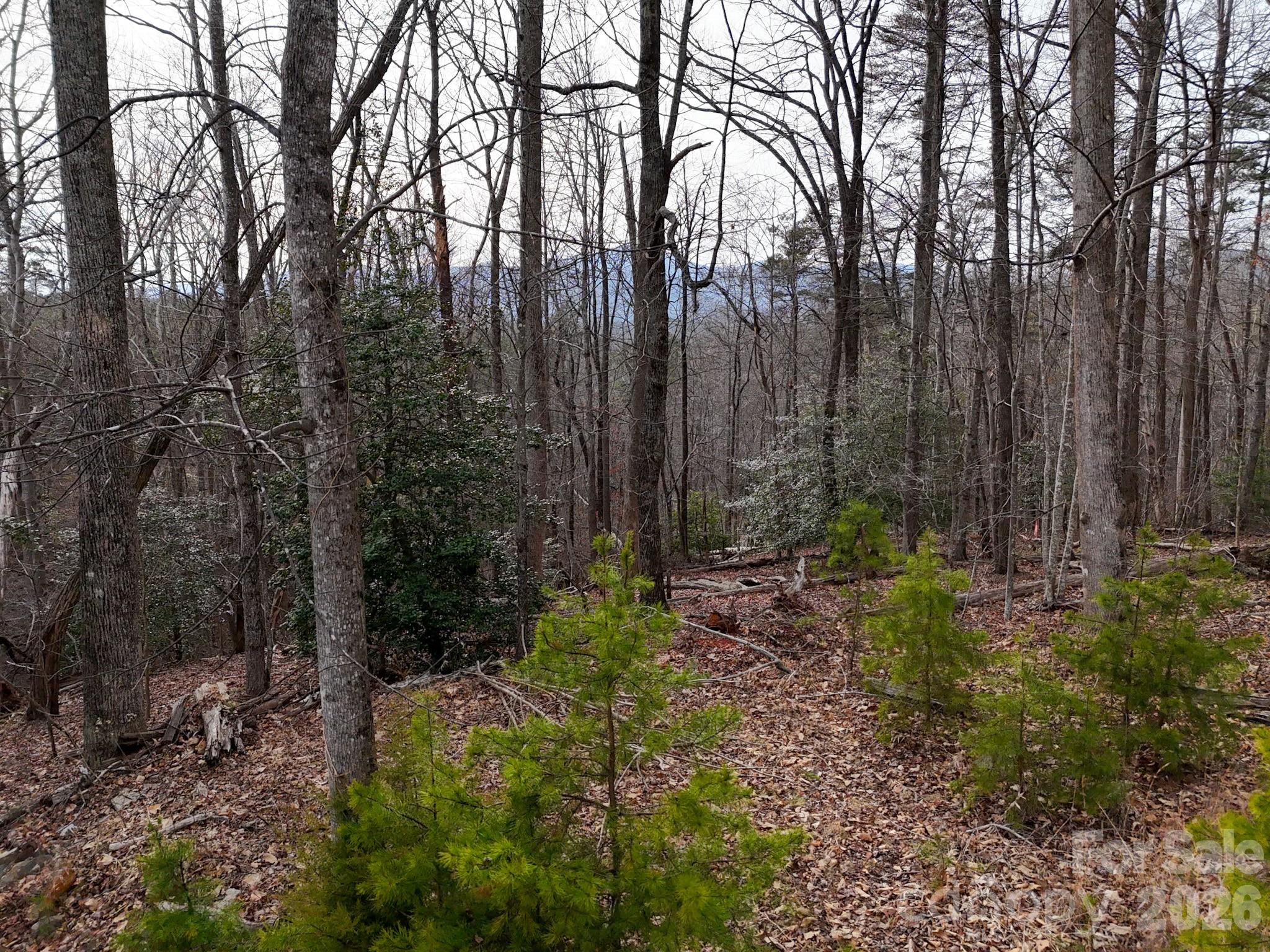 Riverbend at Lake Lure - Land