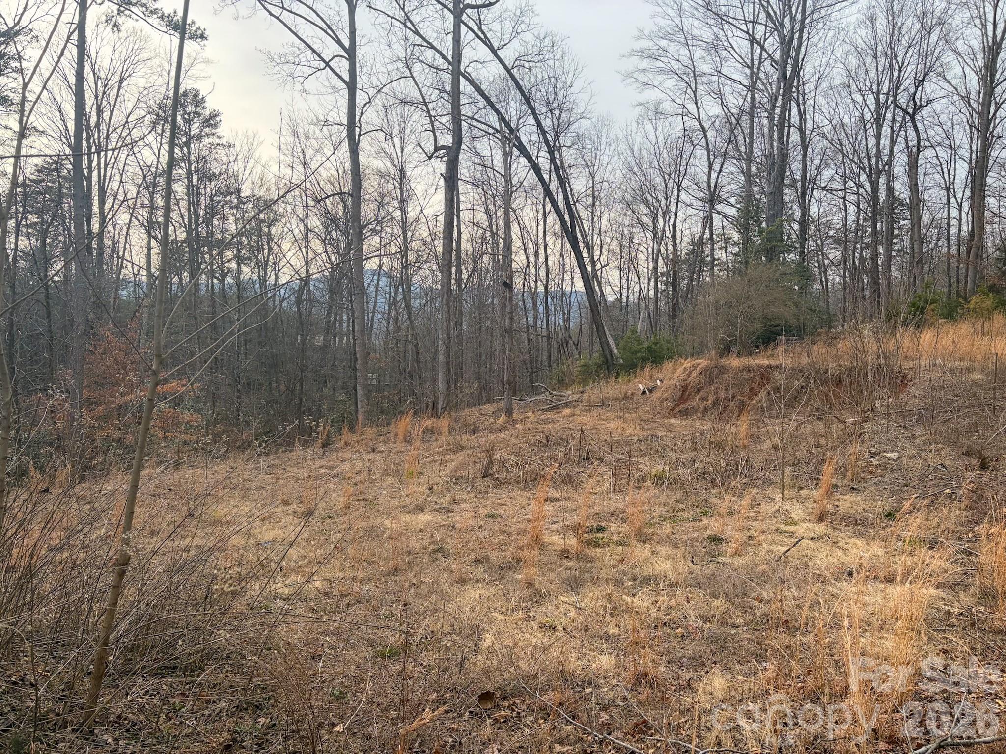 Riverbend at Lake Lure - Land
