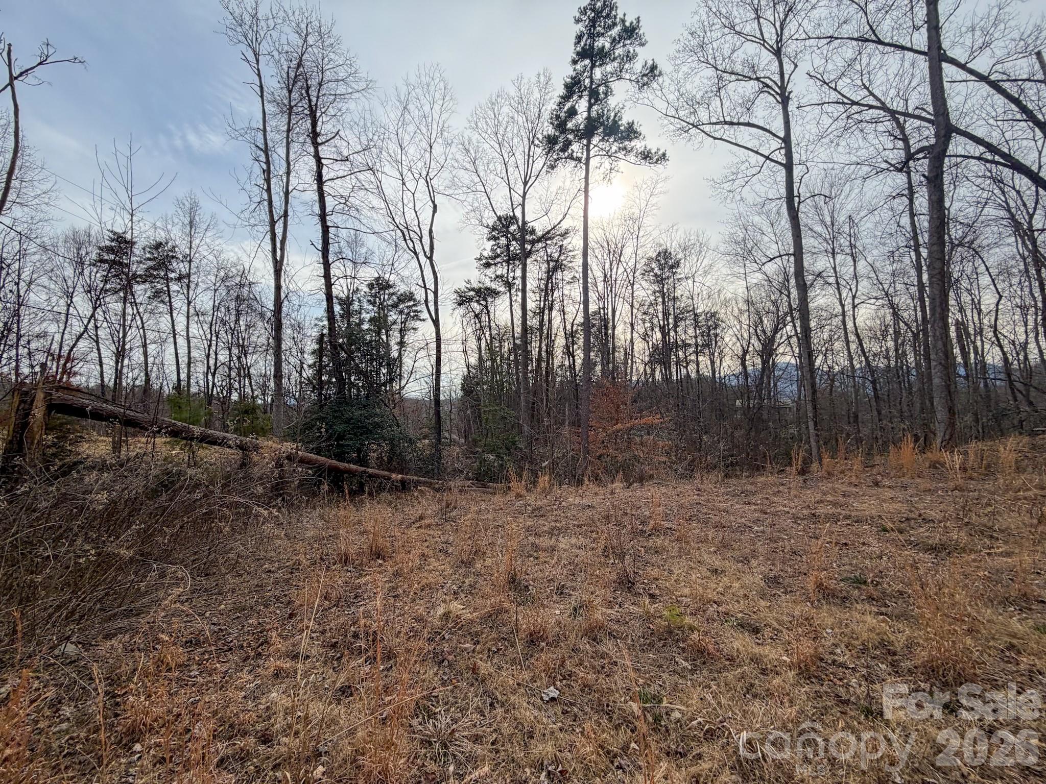 Riverbend at Lake Lure - Land