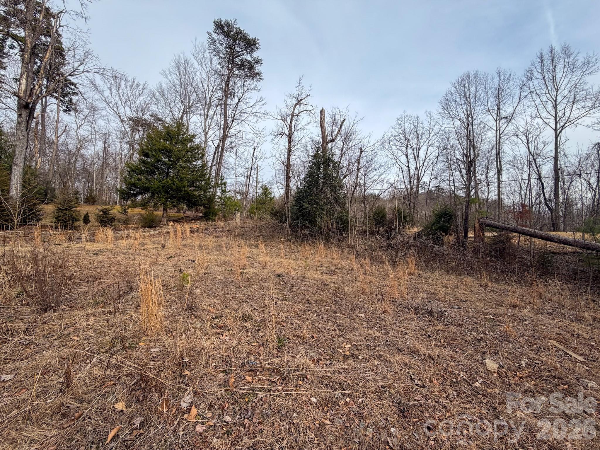 Riverbend at Lake Lure - Land