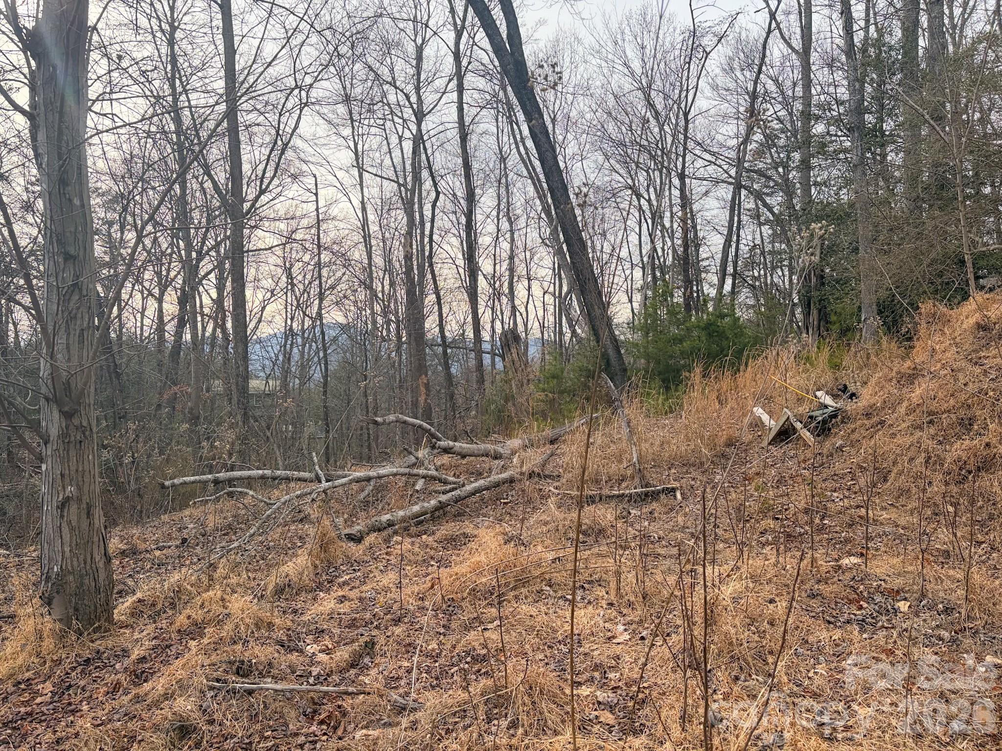 Riverbend at Lake Lure - Land