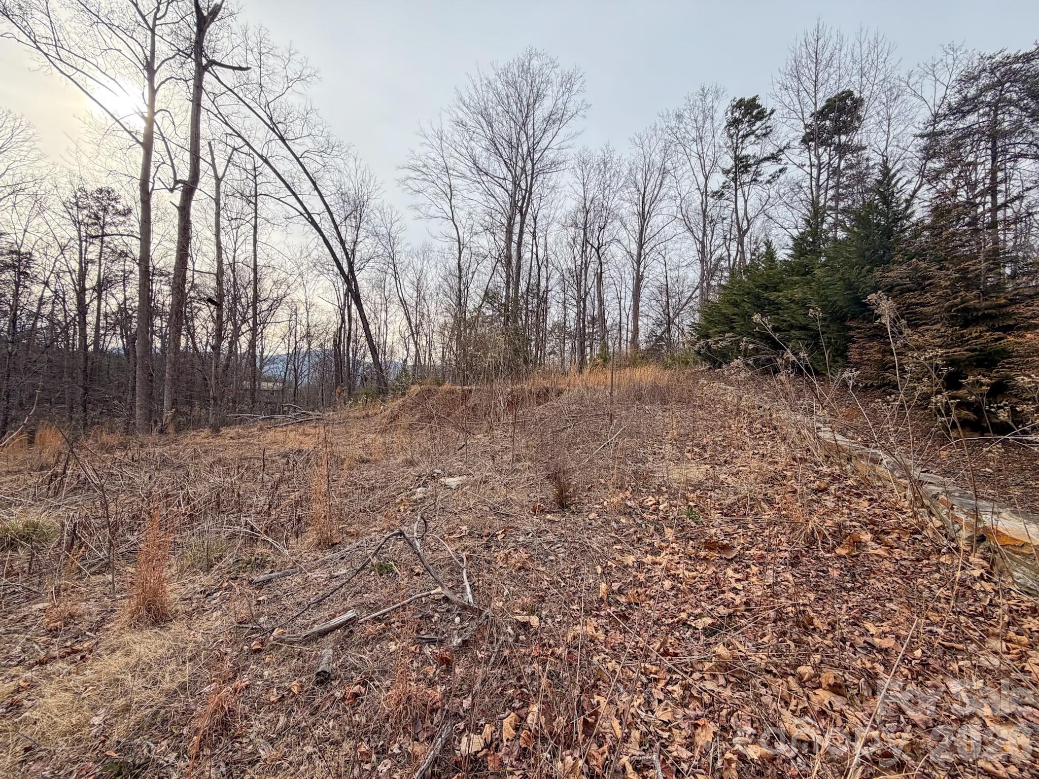 Riverbend at Lake Lure - Land